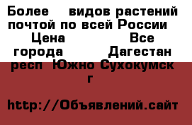 Более200 видов растений почтой по всей России › Цена ­ 100-500 - Все города  »    . Дагестан респ.,Южно-Сухокумск г.